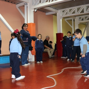 Día de la Actividad Física